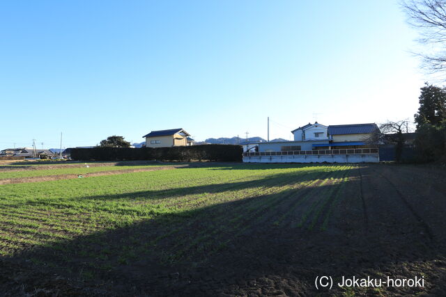 下野 小見城の写真