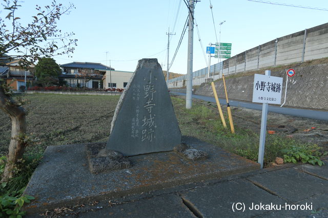 下野 小野寺城の写真