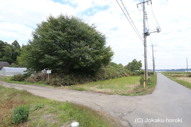 下野 刑部城の写真