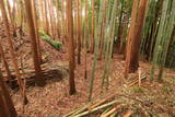 下野 小宅城の写真