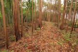 下野 小宅城の写真