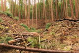 下野 小宅城の写真