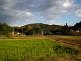 下野 西明寺城の写真