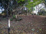 下野 西明寺城の写真