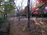 下野 西明寺城の写真