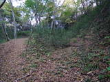 下野 西明寺城の写真