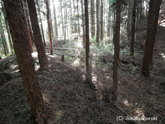 下野 佐久山館要害の写真