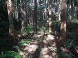 下野 佐久山館要害の写真