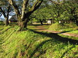 下野 桜町陣屋の写真