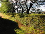 下野 桜町陣屋の写真