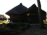 下野 桜町陣屋の写真