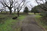 下野 桜町陣屋の写真