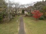 下野 桜町陣屋の写真