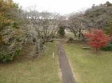 下野 桜町陣屋の写真