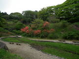 下野 佐久山城の写真