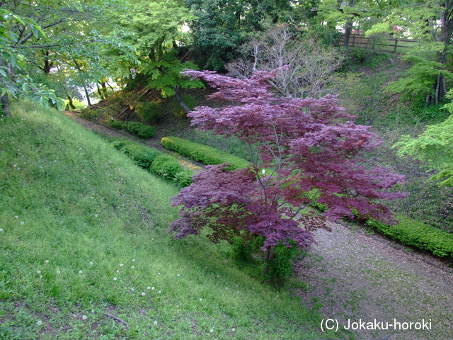 下野 佐野城の写真