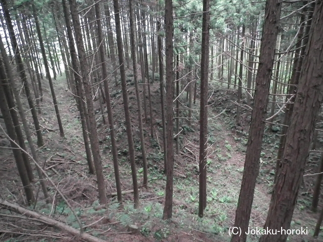 下野 沢村城の写真