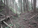 下野 沢村城の写真