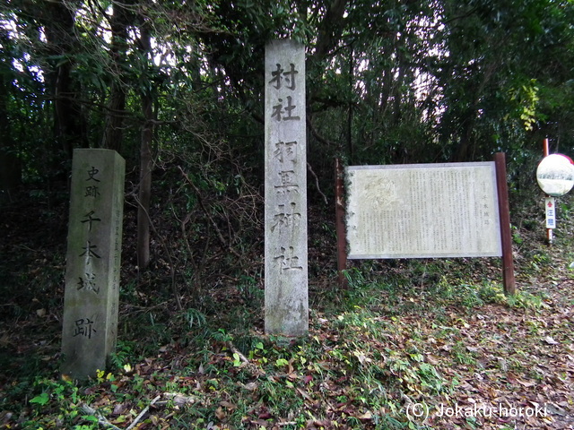 下野 千本城の写真