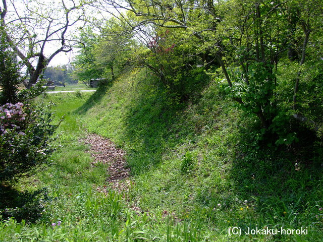 下野 千渡城の写真