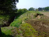 下野 千渡城の写真