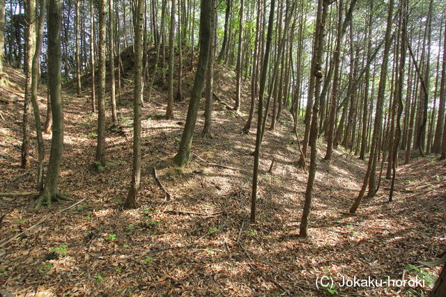 下野 下南摩城の写真