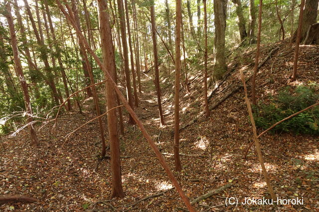 下野 泉城の写真