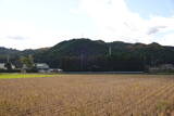 下野 泉城の写真