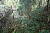 下野 泉城の写真