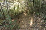 下野 泉城の写真