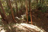 下野 泉城の写真
