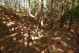 下野 泉城の写真