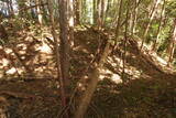 下野 泉城の写真