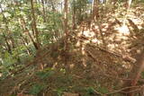 下野 泉城の写真