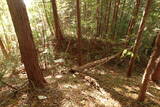 下野 泉城の写真