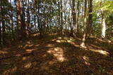 下野 泉城の写真