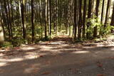 下野 泉城の写真