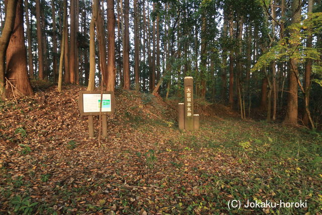 下野 大宮城(塩谷町)の写真