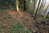 下野 大宮城(塩谷町)の写真