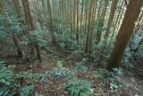 下野 大宮城(塩谷町)の写真