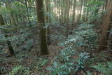 下野 大宮城(塩谷町)の写真