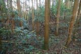 下野 大宮城(塩谷町)の写真
