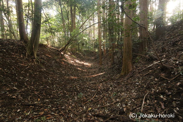 下野 杉山城の写真