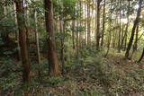 下野 杉山城の写真