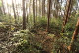 下野 杉山城の写真