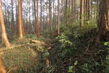 下野 杉山城の写真