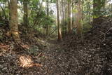 下野 杉山城の写真