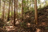 下野 杉山城の写真