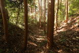 下野 杉山城の写真