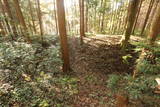 下野 杉山城の写真